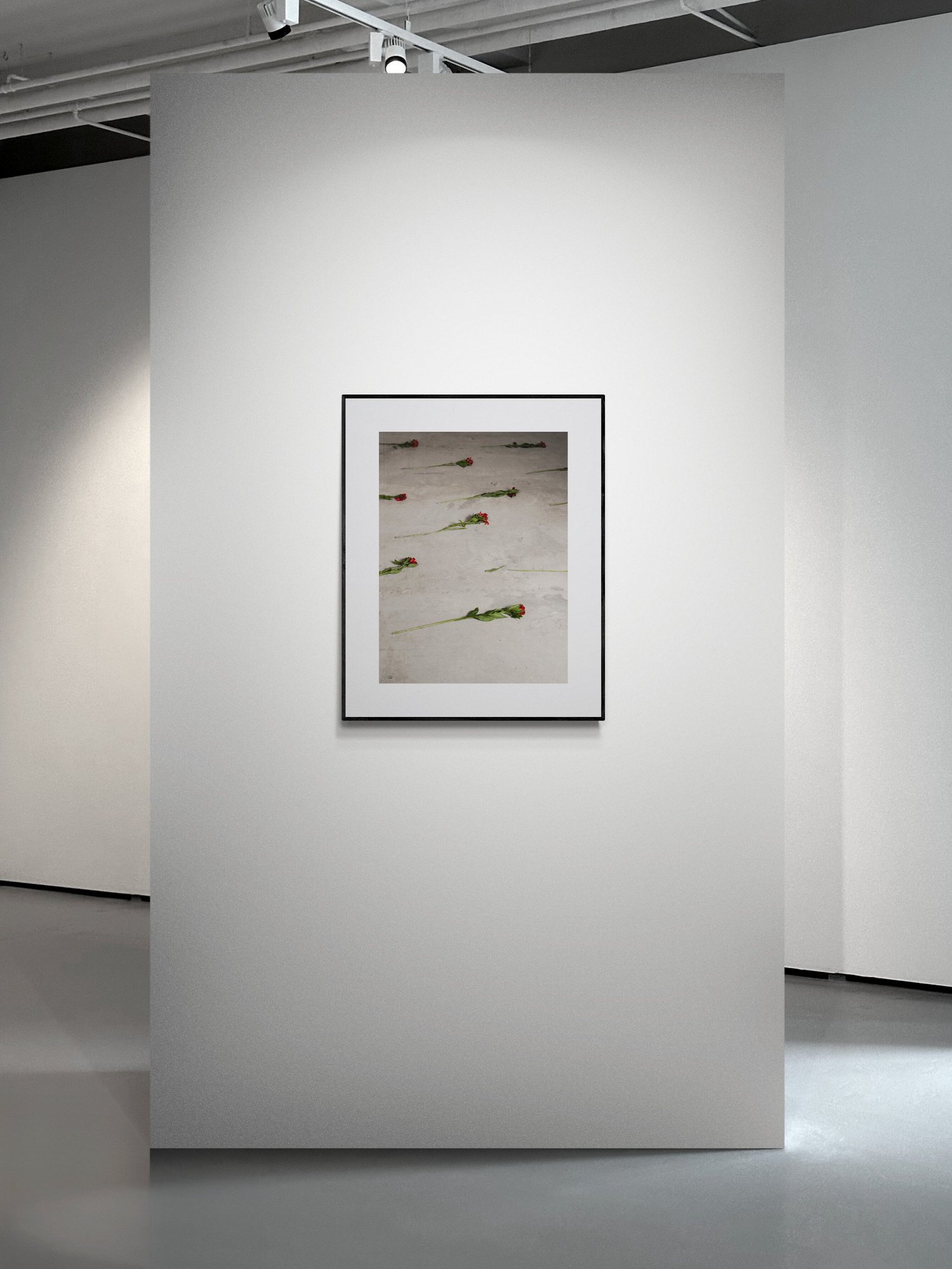 Flowers shown in an interior setting