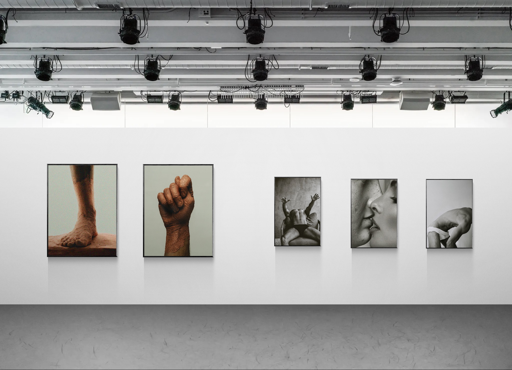 Ton Gomes fine art photographs displayed on a gallery wall